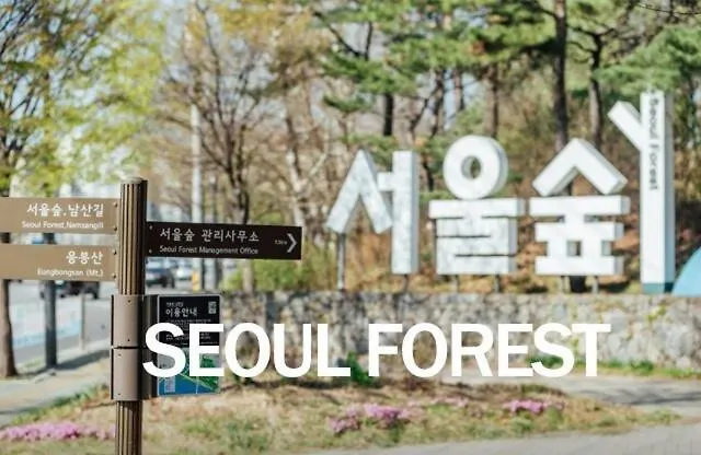 히든테이건대성수premium 3-room 2-story Single-family Station 5 Minutes Seongsu Gangnam Lotte Tower Bts Kspo Bathroom 2 8 People ソウル特別市